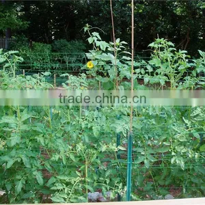 Plant Support Netting for Climbing Varieties thumbnail-1
