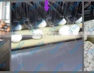 Best Selling Egg Yolk and White Seperator 10000pcs/h on Bakery Exhibition +86-133-3371-9169 thumbnail-4