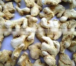 Dried Ginger thumbnail-2