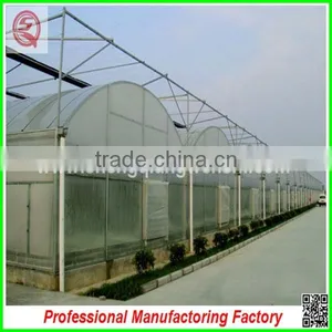 Double Layer High Tunnel Plastic Film Greenhouses for Flower/vegetable Growing thumbnail-4