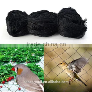 100% Virgin HDPE Protection Anti-hail Net,wind Net /Anti Bird Net thumbnail-4