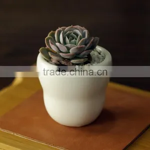 Indoor Decorative White Glazed Small Ceramic Planter thumbnail-1
