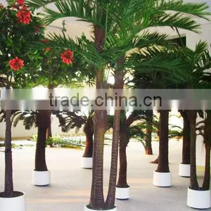 Hot Sale Artificial Date Palm Tree Fiberglass Palm Tree Sale Fake Tree thumbnail-4