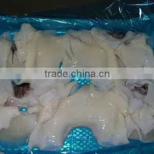 Frozen Giant Squid Raw Necks thumbnail-2