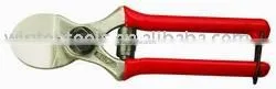 Apple Shear thumbnail-1