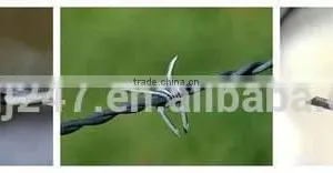 Factory Price Annealed Gi Barbed Wire With High Quality thumbnail-1