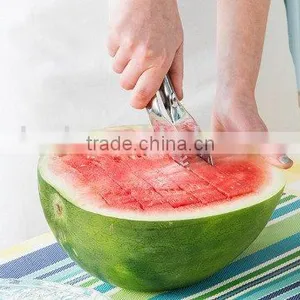Amazon Hot Sell Stainless Steel Melon Baller and Watermelon Slicer thumbnail-2