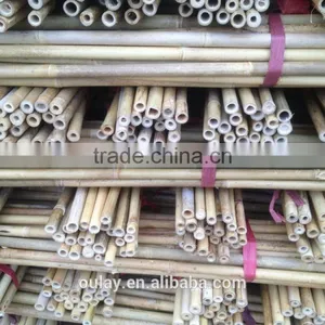 24~26MM 240CM Tonkin Bamboo Stakes For Orchard thumbnail-2