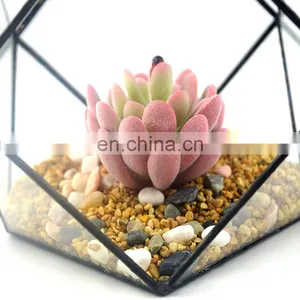 Terrarium Geometric Terrarium Geometric Glass Terrarium Wholesale Plant thumbnail-2