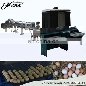 Popular Selling Industrial Egg Processing Machine Electronic Egg Grader thumbnail-3