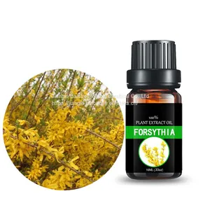 Forsythia Oil Aromatherapy Essential Oil Pure Natural Fragrance Oil thumbnail-5