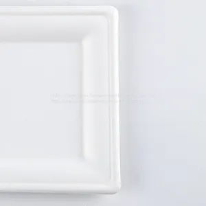 Disposable Biodegradable 10INCH Square Plate Take Away Sugarcane thumbnail-4