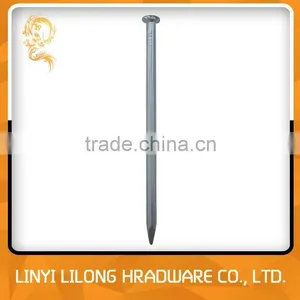 Galvanized Grooved Concrete Nail With High Quality thumbnail-5