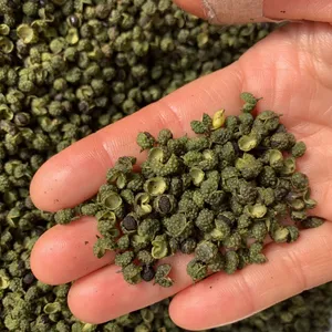 Natural New Seasoning Dried Green Pepper Mass Sales Chinese Herb Spices by Sichuan Factory thumbnail-2