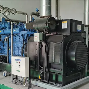 BFMP Supplies Diesel Gensets and Gas Generator Sets for the Data Center Backup Power Station thumbnail-3