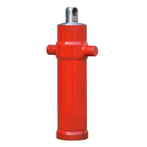 HSG Engineering Cylinder Ploughing Machine Tree Moving Oil Cylinder Agricultural Machine Front End With Front thumbnail-1