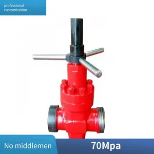 Langfeng Drilling High-pressure Mud Gate Valve Z23y-350 Dn80 for Oilfield Water Injection thumbnail-1
