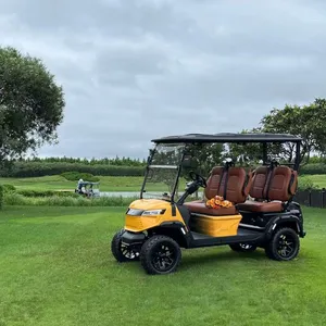 Two Row Four Seater Off-road Golf Hunting Vehicle | Selection Tips ✨ thumbnail-1