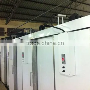 Dragon Fruit Refrigerating Room With Different Temperature thumbnail-2