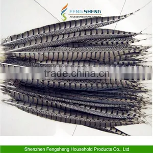 Wholesale Beautiful Natural Pheasant Feathers Fringe Craft All Wedding Favor Craft Trimmings thumbnail-4