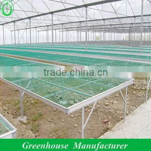 Multi-span Industrial Film Greenhouse Sale thumbnail-1