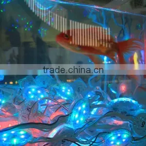 Hot Products Waterproof IP68 CE FCC Approved Outdoor Led Smd 5050 thumbnail-3