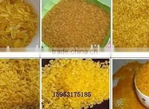 Extrusion Reforced Rice Machines thumbnail-5