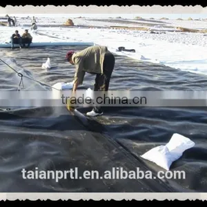HDPE Black Geomembrane for Landfill 1.0mm/27Mpa Lowest Price thumbnail-6