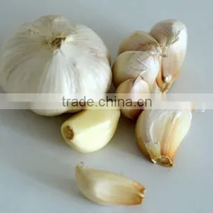 Automatic Electric Garlic Clove Separating/Breaking/Splitting Machine thumbnail-5
