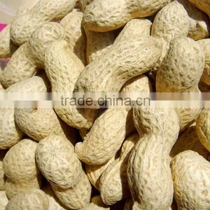 Shandong Roasted Peanut Inshell thumbnail-1