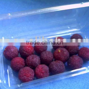 Fruit Packaging Box thumbnail-1