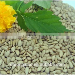 New Premium Sunflower Kernels Chocolate thumbnail-3