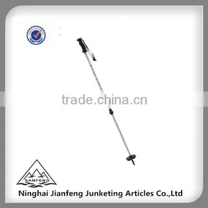 GS Approved One Section Aluminum6061 Ski Stick thumbnail-1