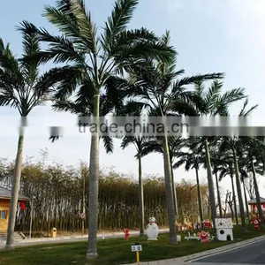 Bus Station Landscaping Big Artificial Palm Tree thumbnail-4