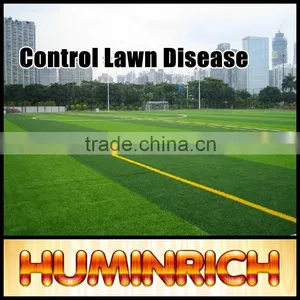 FAQ 15--How To Control Lawn Disease? thumbnail-2