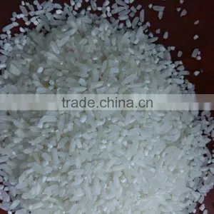 Short Grain Rice, 15% Broken thumbnail-1
