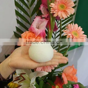 Collagen Sponge--latest Konjac Sponge thumbnail-1