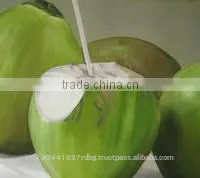 Tender Coconut/fresh Young Coconut/common Cultivation Type Young Coconut/green Young Coconut/young Coconut Exporter thumbnail-5