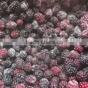 IQF Blackberry With Good Quality for Sale thumbnail-3