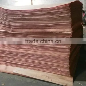 Rotary Cut Natural BUR Wood Veneer/BUR Face Veneer thumbnail-4