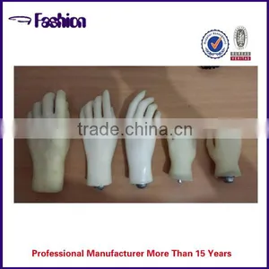 2016 Newest OEM Plastic Hand Model for Medical Teaching thumbnail-5