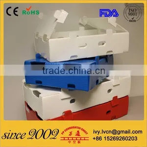 Folding Corrugated Plastic Storage Box thumbnail-1