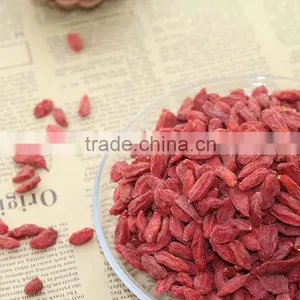 Manufacturer Supply Sun Dried Goji Berry/wolfberry Bulk thumbnail-2