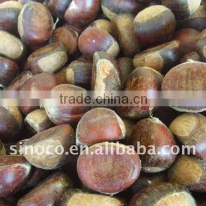 Sweet Chestnuts (40-60) thumbnail-1