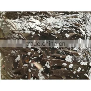 Frozen Fresh Live Catfish for Smoked Dried Catfish thumbnail-1