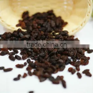 Washed Raisin to Sale thumbnail-1
