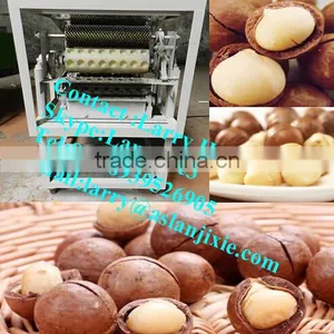 Macadamia Nut Opening Machine/macadamia Nut Tapping Machine thumbnail-1