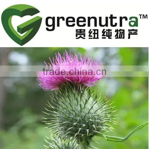 Silybum Marianum Extract thumbnail-1