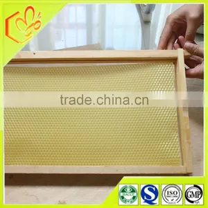 Bulk Beeswax Honeycomb Foundation Sheet for Bee Frames From Pure Natural Beeswax for Bee Keeping thumbnail-1