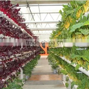 Agricultural Used Vegetable Greenhouse thumbnail-1